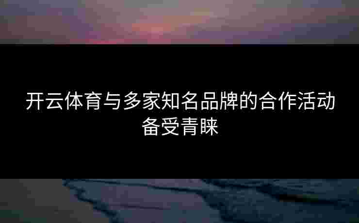 开云体育与多家知名品牌的合作活动备受青睐
