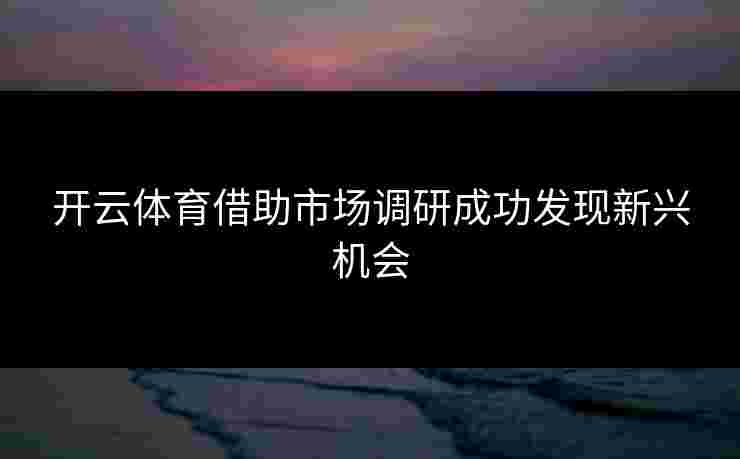 开云体育借助市场调研成功发现新兴机会